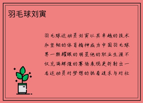 羽毛球刘寅